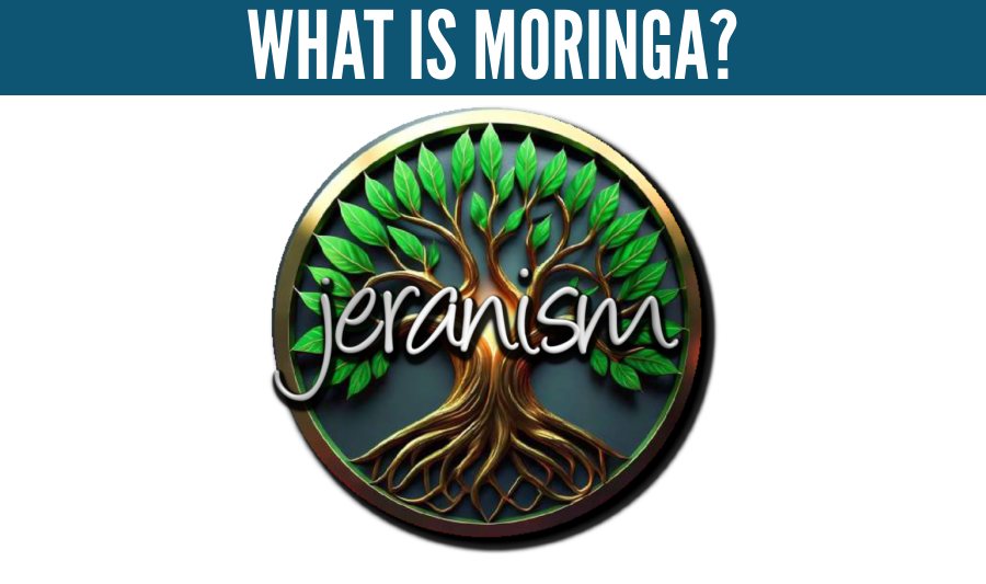 Unlocking the Power of Moringa: The Superfood You Need